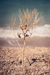 Similar image 5957472