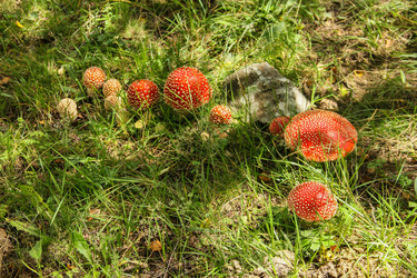 Similar image 5957482