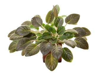 Similar image 5957487