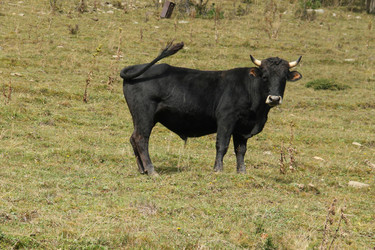 Similar image 5957523