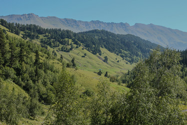 Similar image 5957637