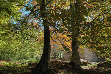 Similar image 5957641