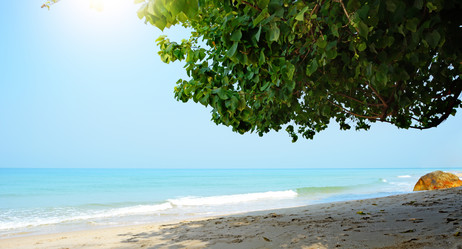 Similar image 5957764