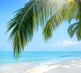 Similar image 5957773