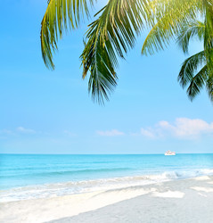 Similar image 5957774