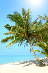 Similar image 5957775