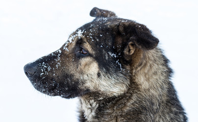 Similar image 5957825