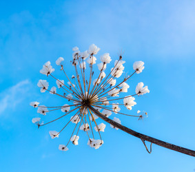 Similar image 5957830