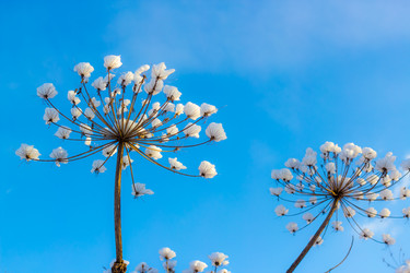 Similar image 5957831