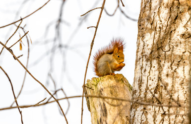 Similar image 5957833