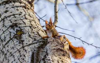 Similar image 5957834