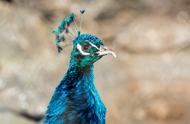 Similar image 5957836