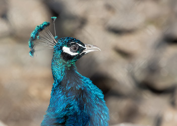 Similar image 5957837