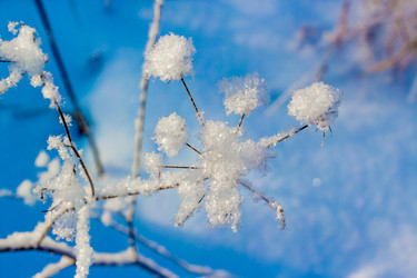 Similar image 5957843