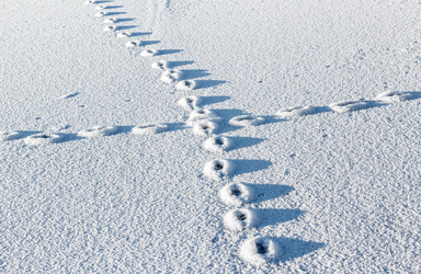 Similar image 5957848