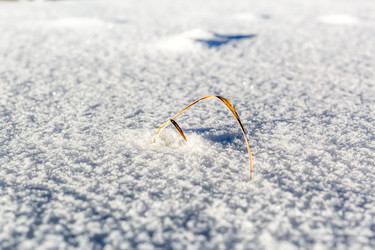 Similar image 5957850