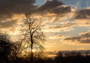 Similar image 5957856