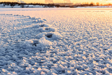 Similar image 5957859