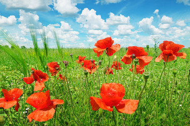 Similar image 5957924