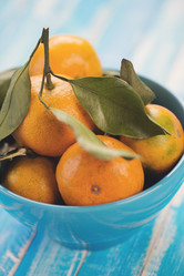 Similar image 5958250