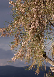 Similar image 5958905