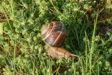 Similar image 5958948