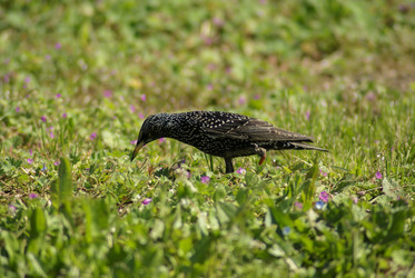 Similar image 5958949