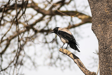 Similar image 5958951