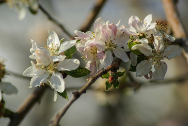 Similar image 5958952