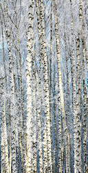 Similar image 5959037