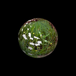 Similar image 5959042