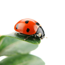 Similar image 5959078