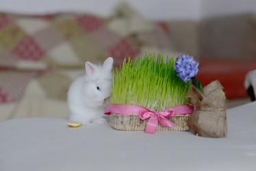 Similar image 5959083