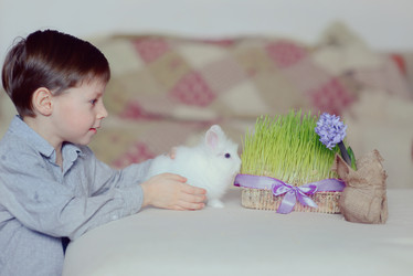 Similar image 5959084