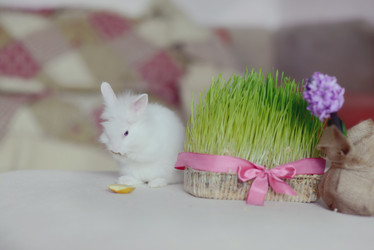 Similar image 5959085