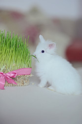 Similar image 5959086