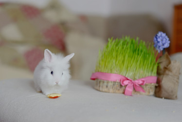 Similar image 5959087