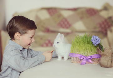 Similar image 5959089