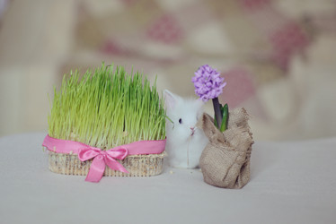 Similar image 5959090