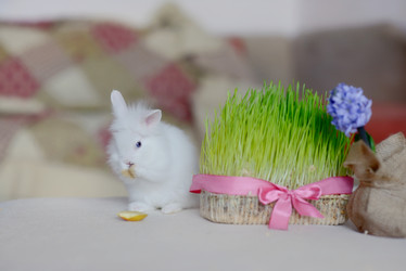 Similar image 5959091