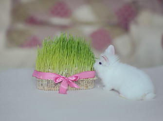 Similar image 5959093