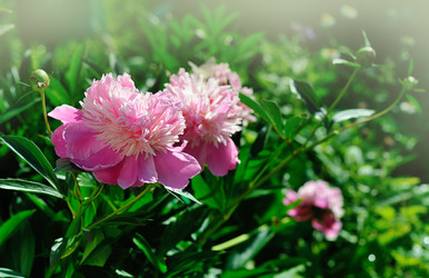 Similar image 5959149