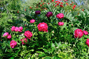 Similar image 5959154