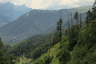 Similar image 5959179