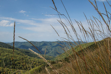 Similar image 5959185