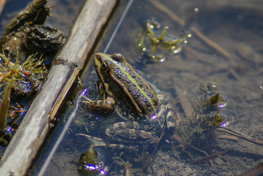 Similar image 5959187