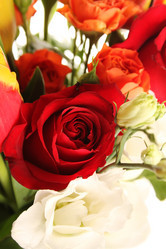 Similar image 5959211