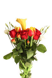 Similar image 5959215