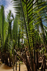 Similar image 5959269