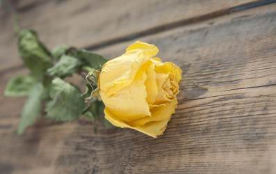 Similar image 5959321